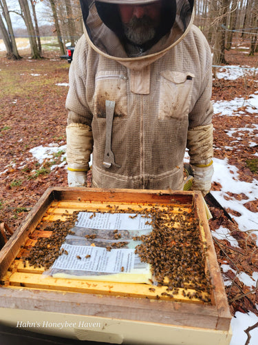 December hive checks