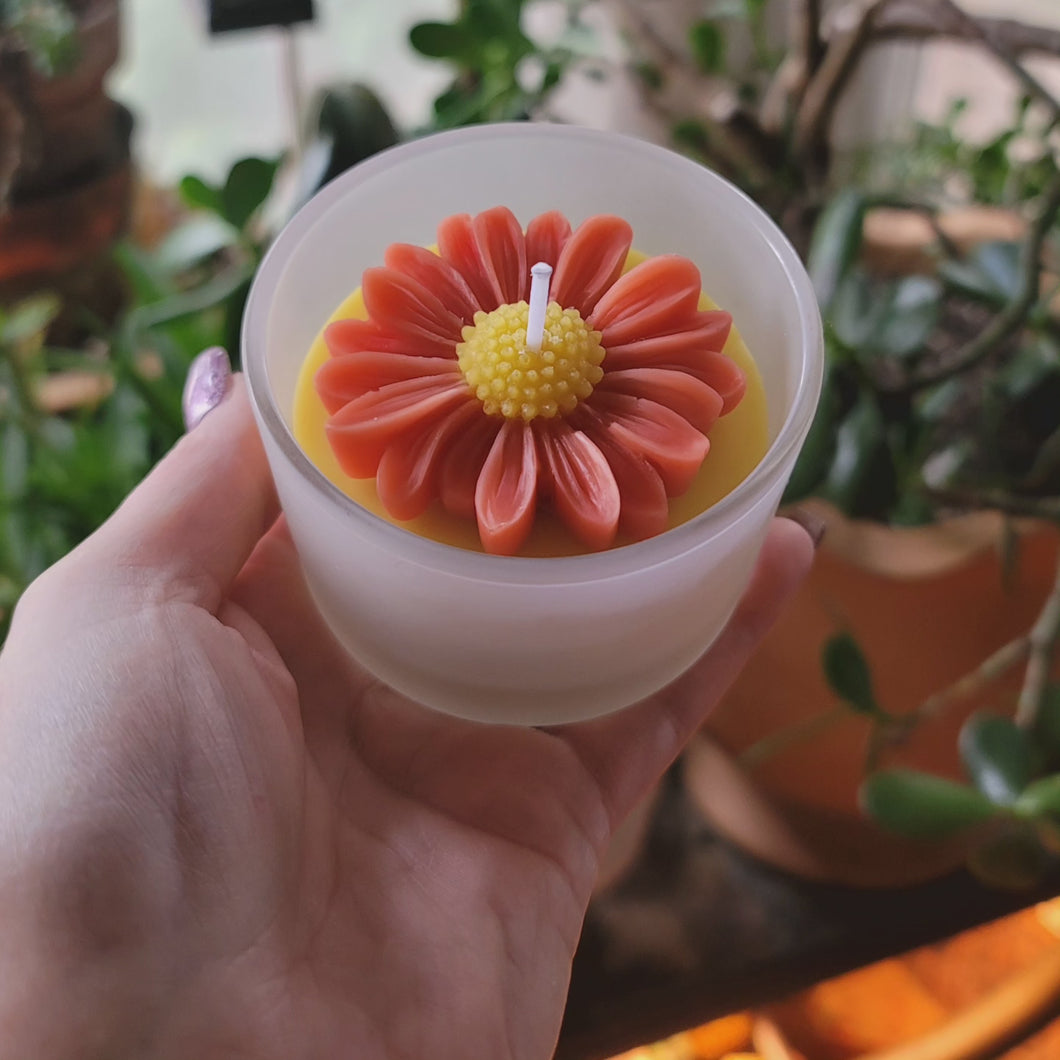 Daisy Topped Beeswax Candle Jars